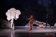 CDT's The Jungle Book